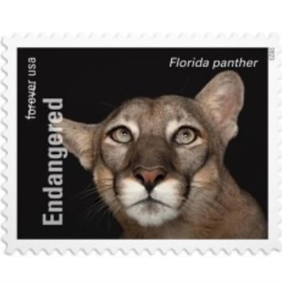 100 Forever Stamps Endangered Species Animals Stamp USPS Postage Mail - Picture 5 of 13